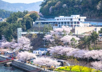 남해대교 봄꽃축제 가보자!